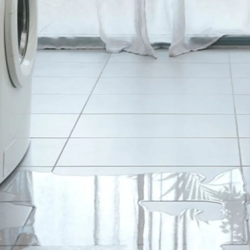 Appliance Leak Cleanup in Newport, TN