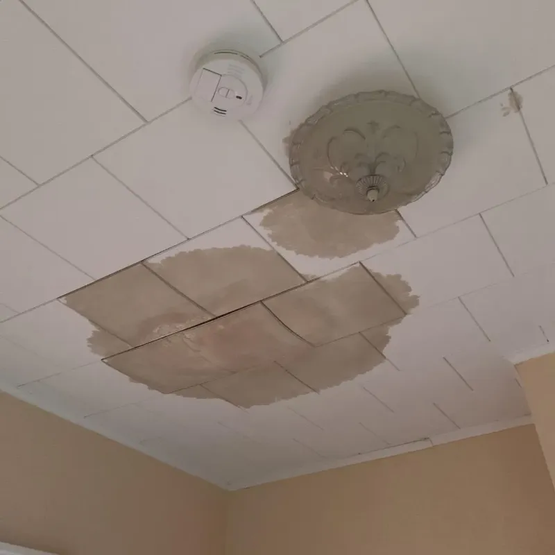 Ceiling Water Damage Repair in Newport, TN
