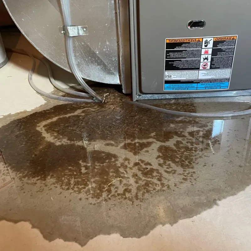 Pipe Burst and Leak Restoration in Newport, TN
