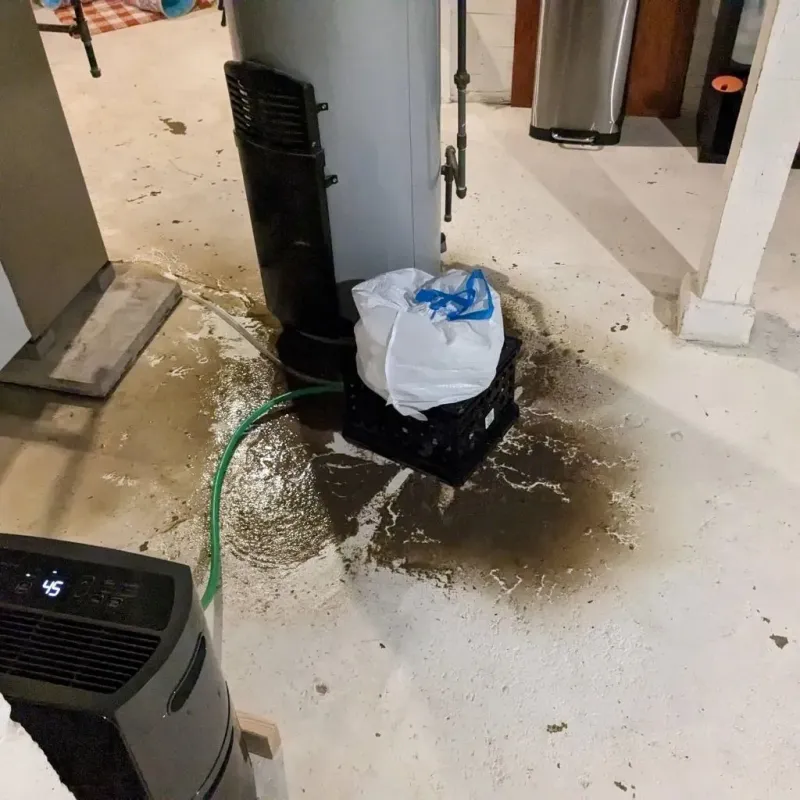 Sewage Backup Cleanup Service in Newport, TN
